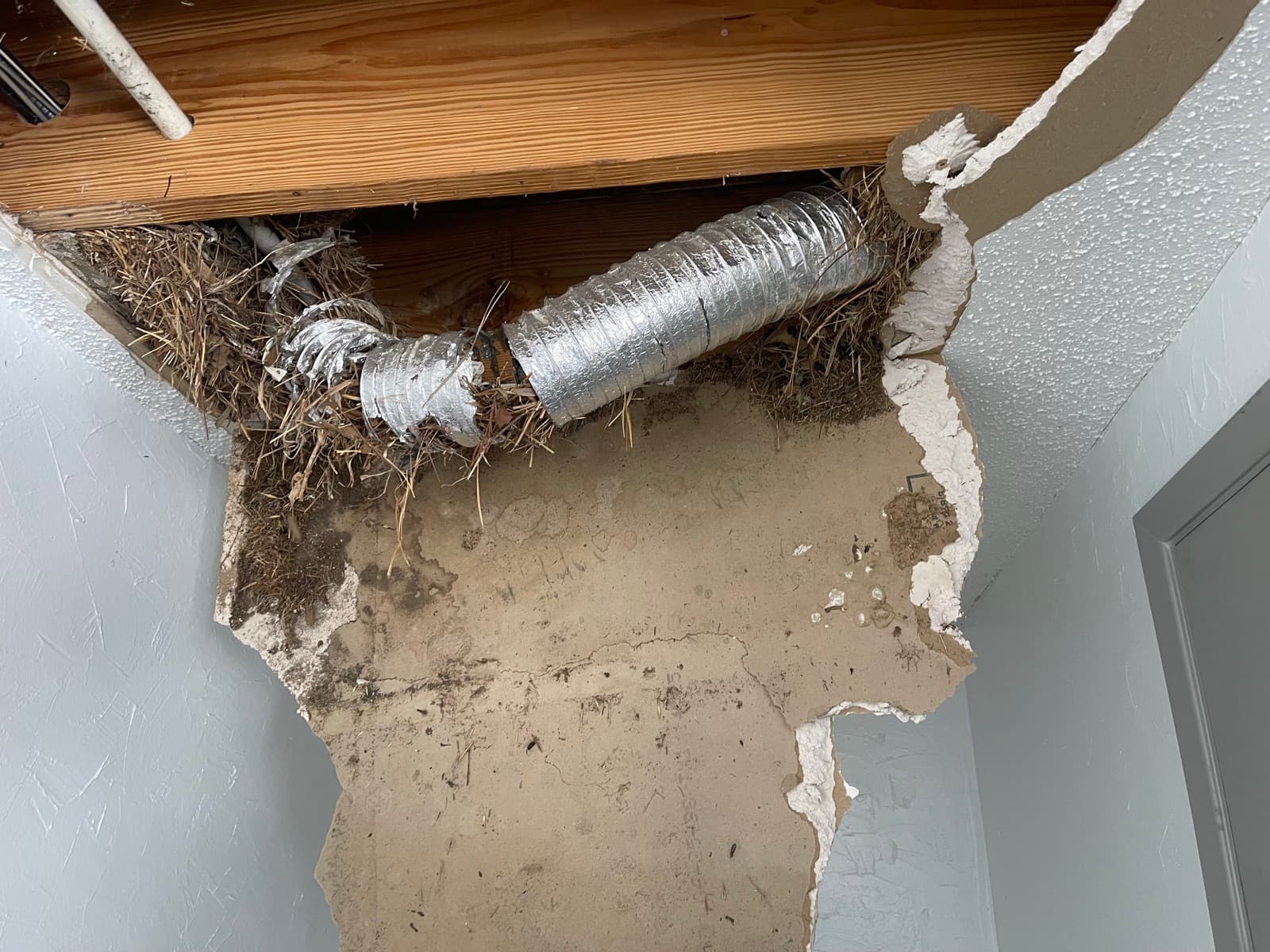 Dryer Vent Cleaning