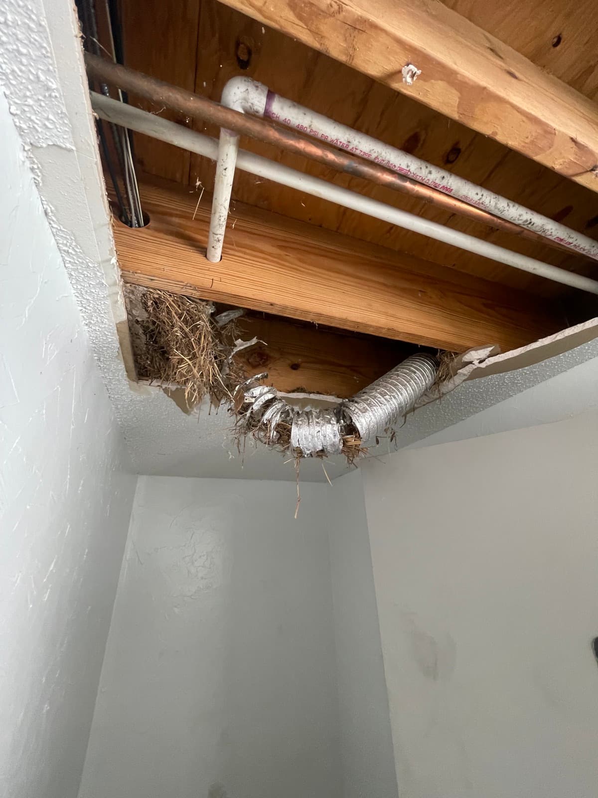Seamless Wall Patching
