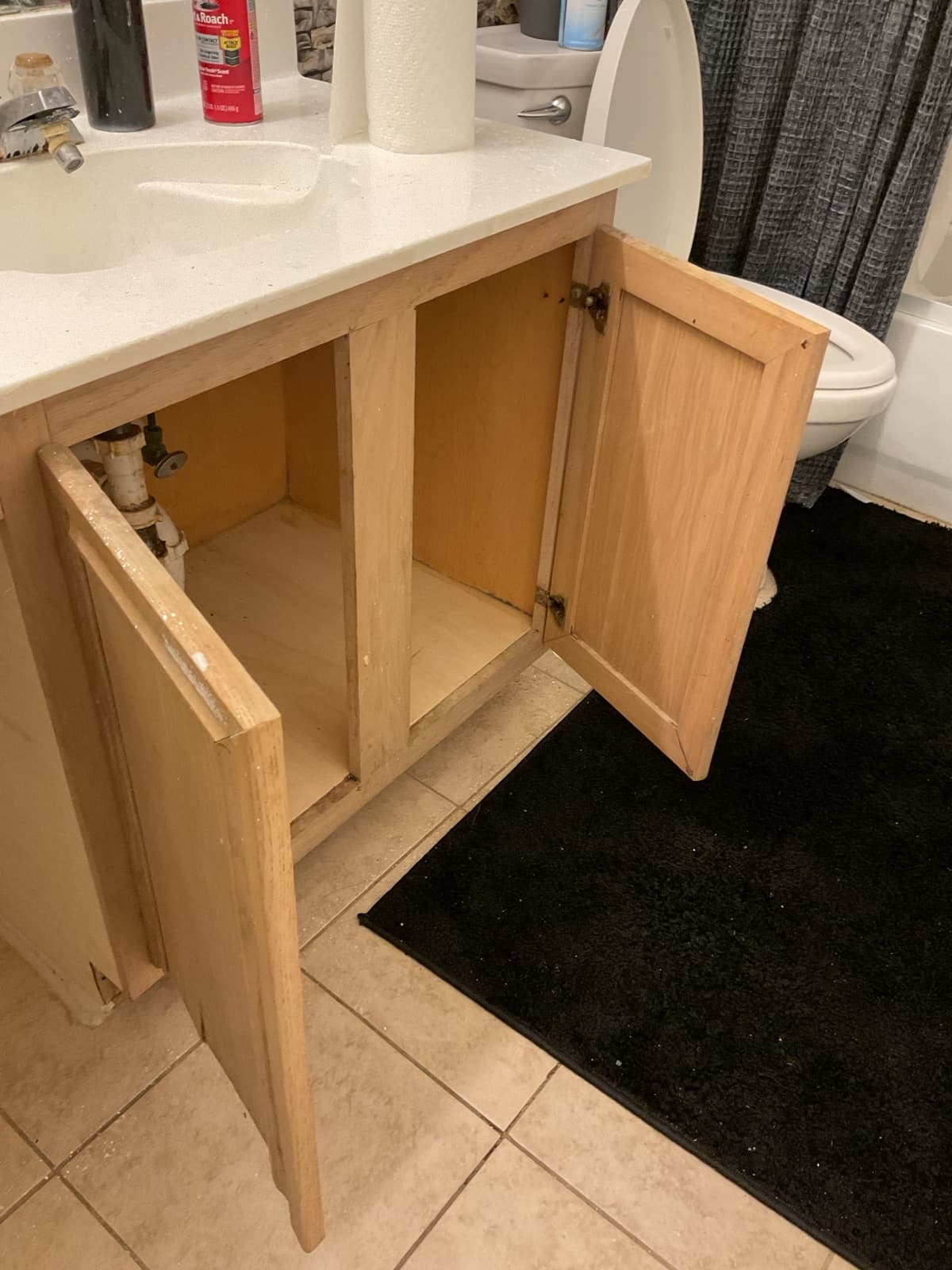 Bathroom Upgrade